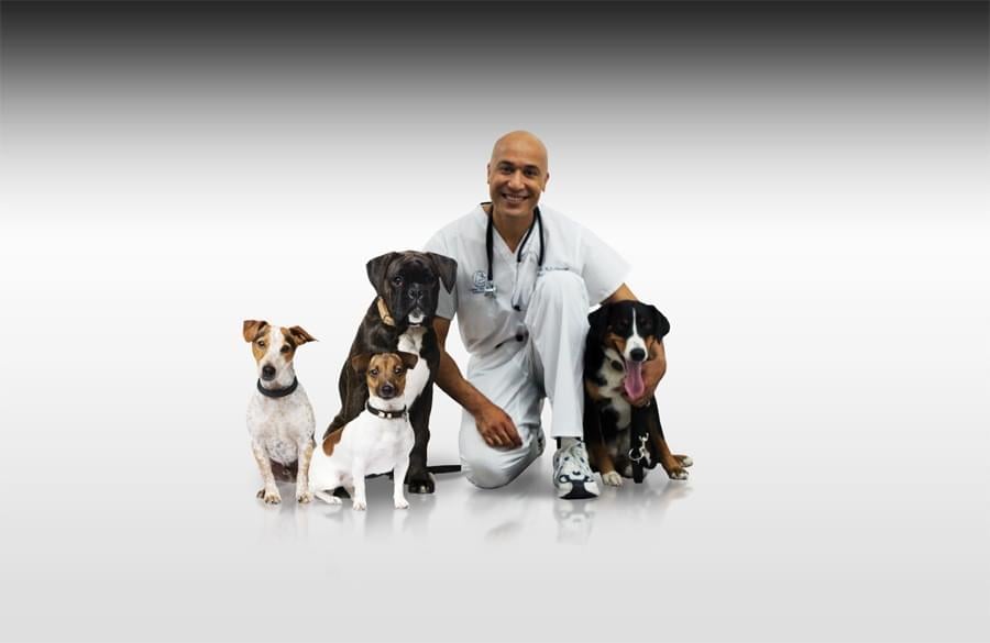 Dr avec chiens, Vétérinaire Versoix, Veterinaire Versoix, Versoix Veterinaire, Versoix Vétérinaire, cabinet vétérinaire versoix, cabinet veterinaire versoix, clinique vétérinaire versoix, vétérinaire de Garde Versoix,veterinaire de Garde Versoix, Cabinet Vétérinaire International