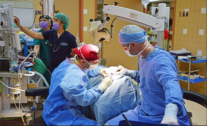 surgery, Vétérinaire Versoix, Veterinaire Versoix, Versoix Veterinaire, Versoix Vétérinaire, cabinet vétérinaire versoix, cabinet veterinaire versoix, clinique vétérinaire versoix, vétérinaire de Garde Versoix,veterinaire de Garde Versoix, Cabinet Vétérinaire International