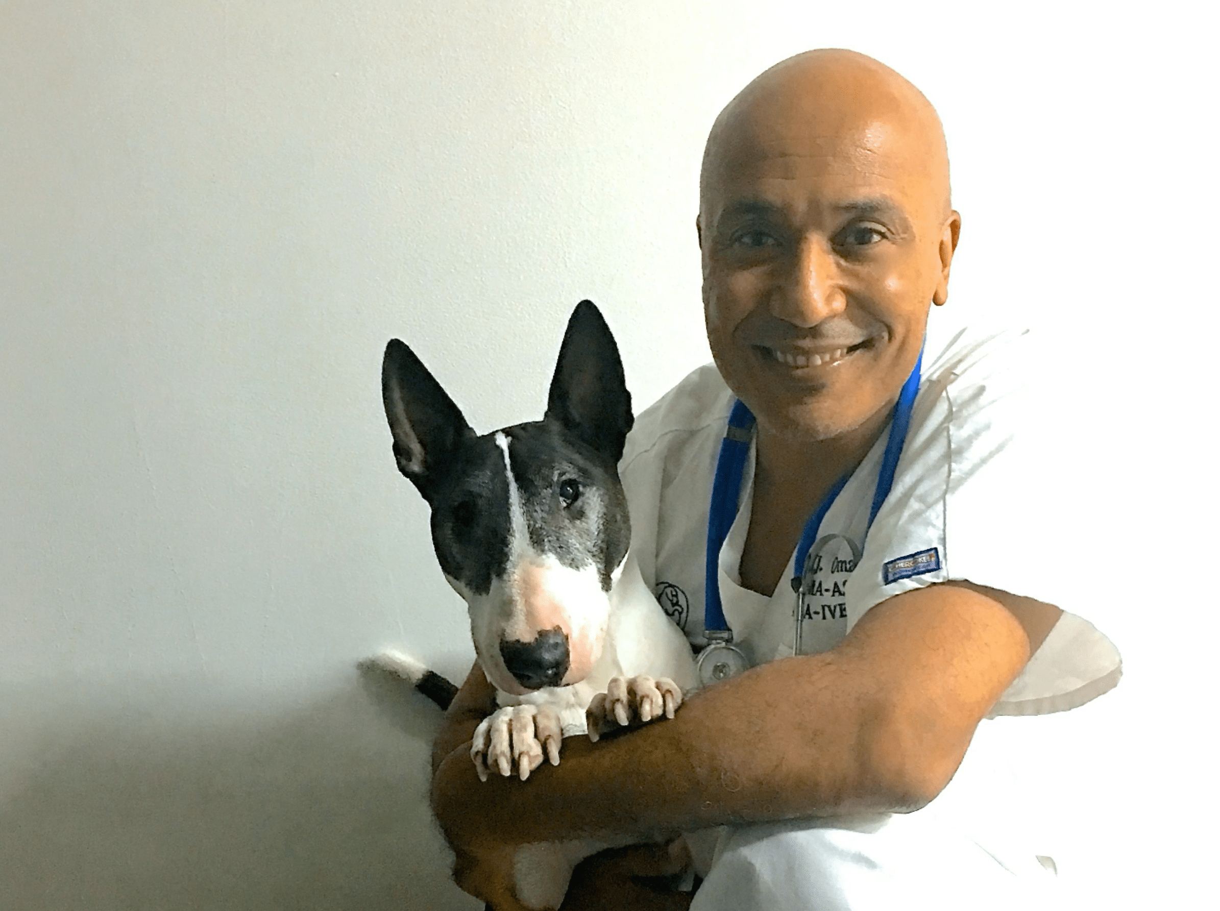 Vétérinaire Versoix, Veterinaire Versoix, Versoix Veterinaire, Versoix Vétérinaire, cabinet vétérinaire versoix, cabinet veterinaire versoix, clinique vétérinaire versoix, vétérinaire de Garde Versoix,veterinaire de Garde Versoix, Cabinet Vétérinaire International